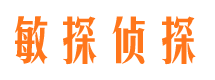 衡水市私家侦探